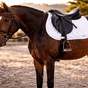 Satteldecke TEST VARIANTE